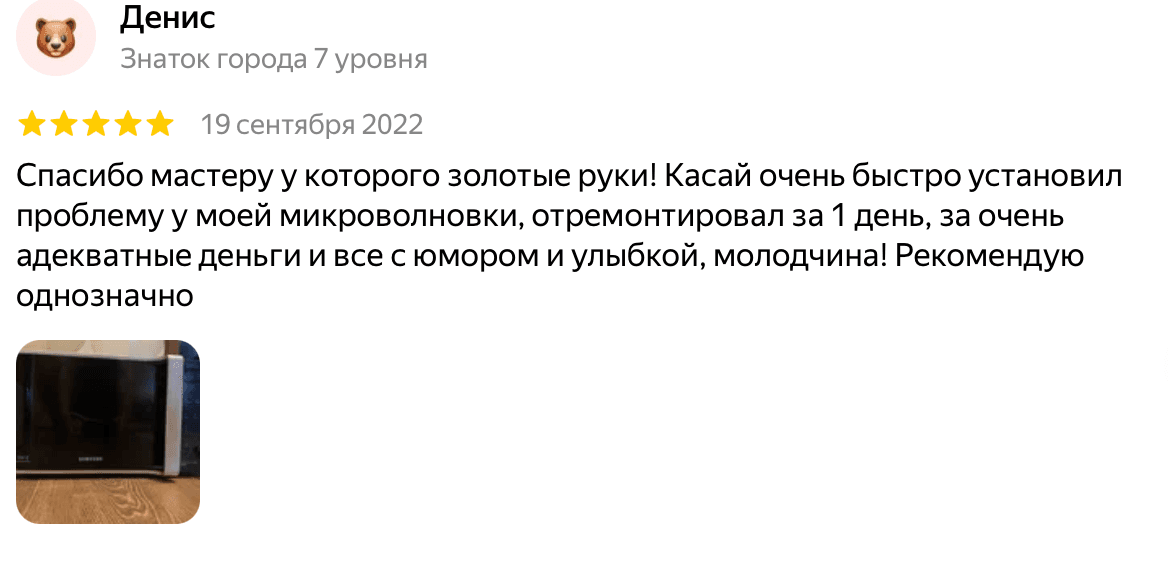Отзыв Денис — скриншот Яндекс.Карт